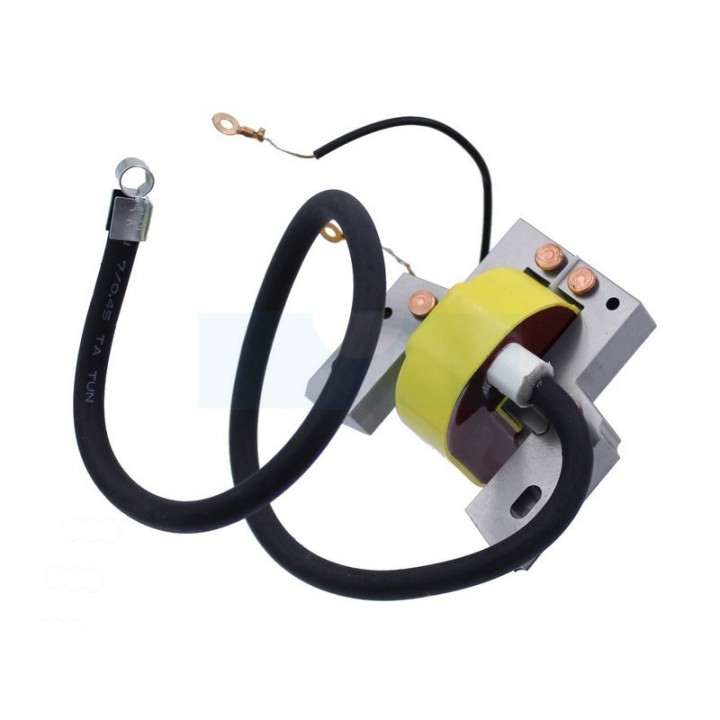 Bobine d'allumage pour moteur Briggs & Stratton (298968)