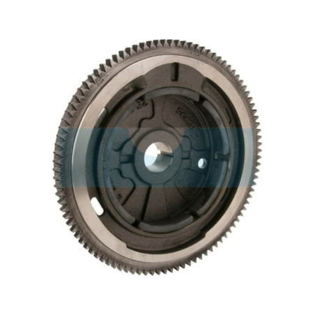 Volant d'inertie pour moteur Kohler (2002544S)
