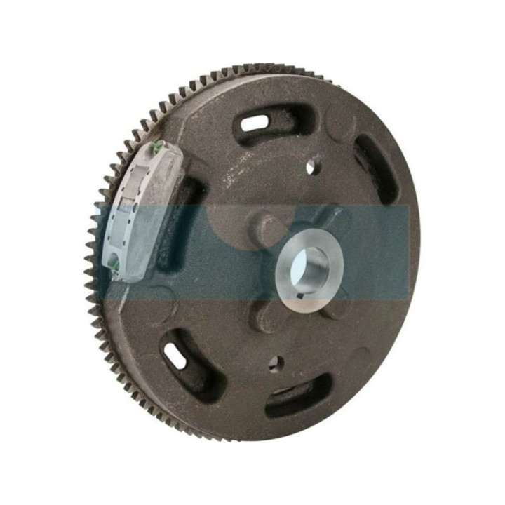 Volant d'inertie pour moteur Kohler (2002544S)