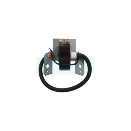 Bobine d'allumage pour moteur Briggs & Stratton (298316)