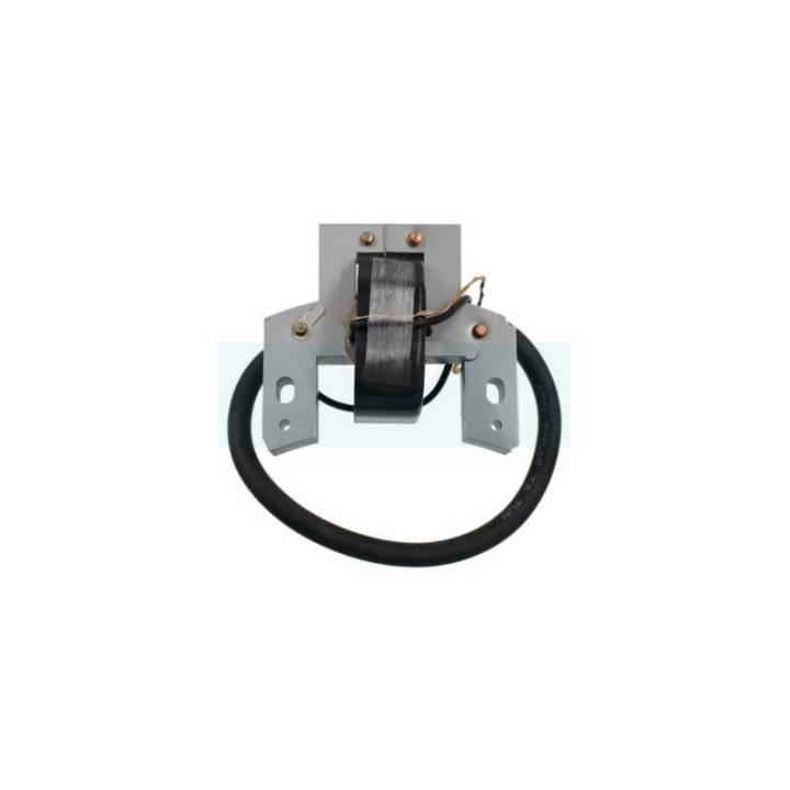 Bobine d'allumage pour moteur Briggs & Stratton (298316)