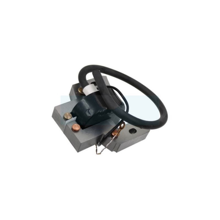 Bobine d'allumage pour moteur Briggs & Stratton (298316)