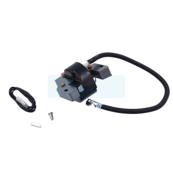 Bobine d'allumage électronique pour moteur Briggs & Stratton (591420)