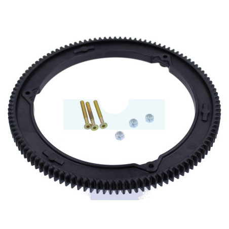Couronne de démarreur pour moteur Briggs & Stratton (499612)