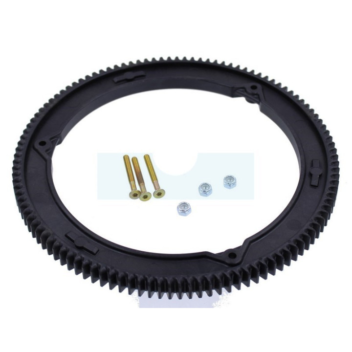 Couronne de démarreur pour moteur Briggs & Stratton (499612)