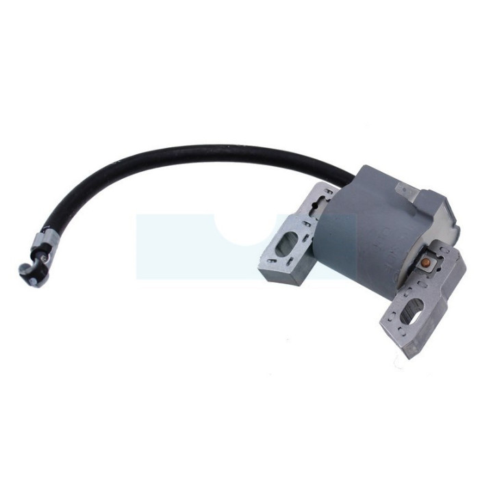 Bobine d'allumage pour moteur Briggs & Stratton (595291)