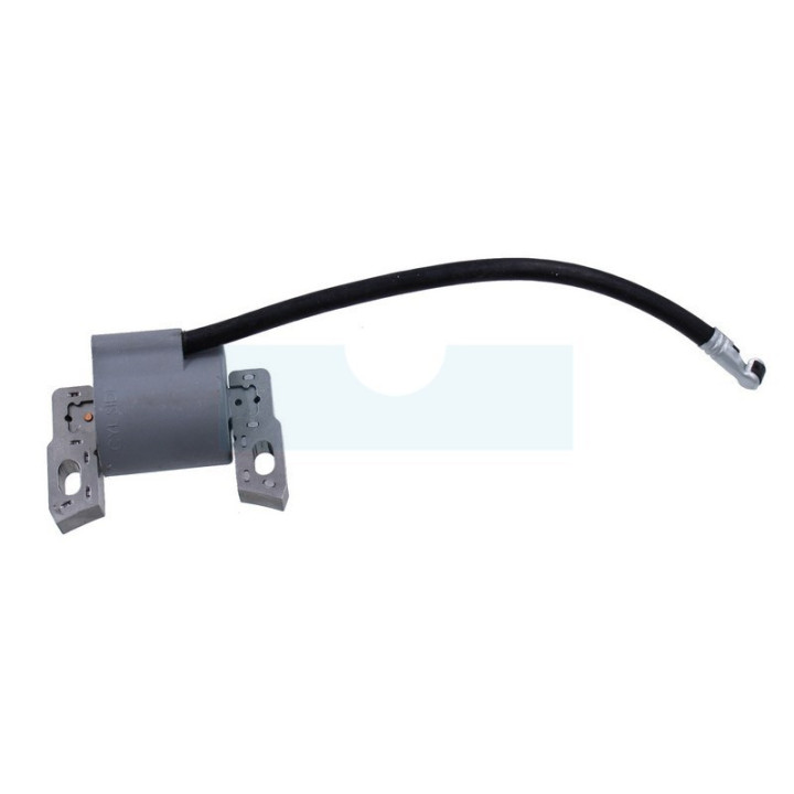 Bobine d'allumage pour moteur Briggs & Stratton (595291)