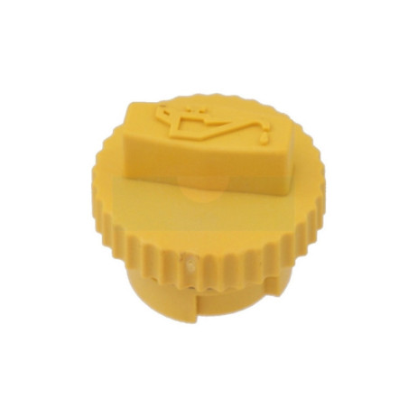 Bouchon d'huile pour moteur Kohler (2422702S)