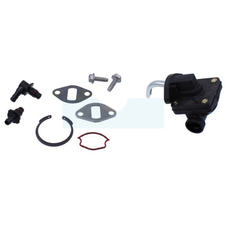 Pompe à essence pour moteur Kohler (1255902S)