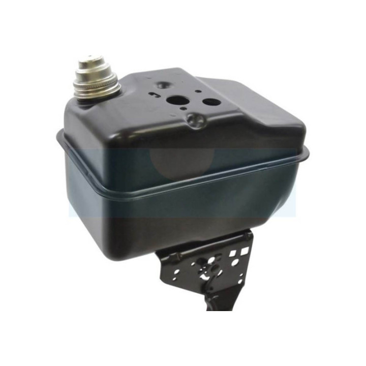 Réservoir de carburant pour moteur Briggs & Stratton (494609)