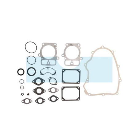 Pochette de joint pour moteur Briggs & Stratton (699823)