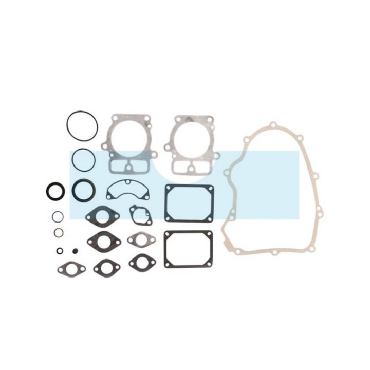 Pochette de joint pour moteur Briggs & Stratton (699823)