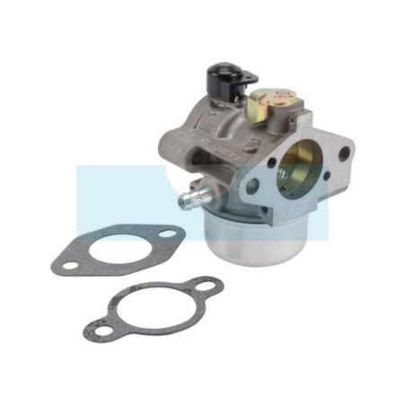 Carburateur pour moteur Kohler (12853169S)