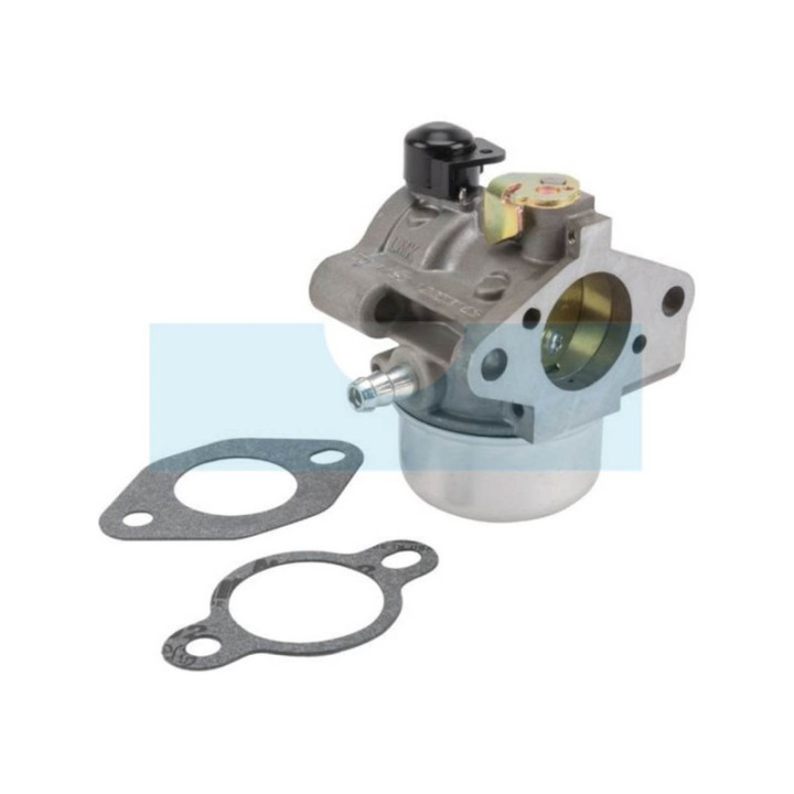 Carburateur pour moteur Kohler (12853169S)