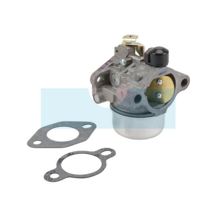 Carburateur pour moteur Kohler (12853169S)