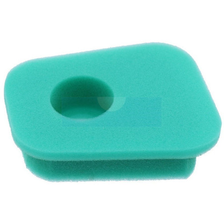 Filtre à air pour moteur Briggs & Stratton (27987)