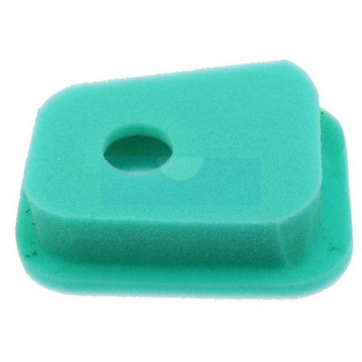 Filtre à air pour moteur Briggs & Stratton (27987)