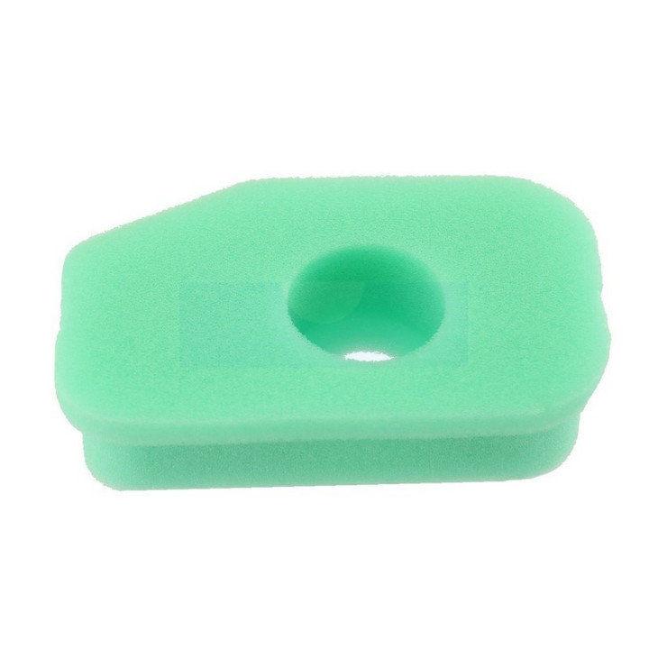 Filtre à air pour moteur Briggs & Stratton (270251)