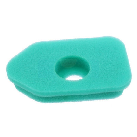 Filtre à air pour moteur Briggs & Stratton (272235)