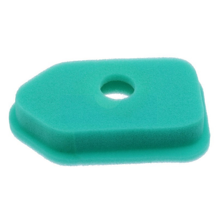 Filtre à air pour moteur Briggs & Stratton (272235)