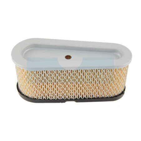 Filtre à air pour moteur Briggs & Stratton (496894)