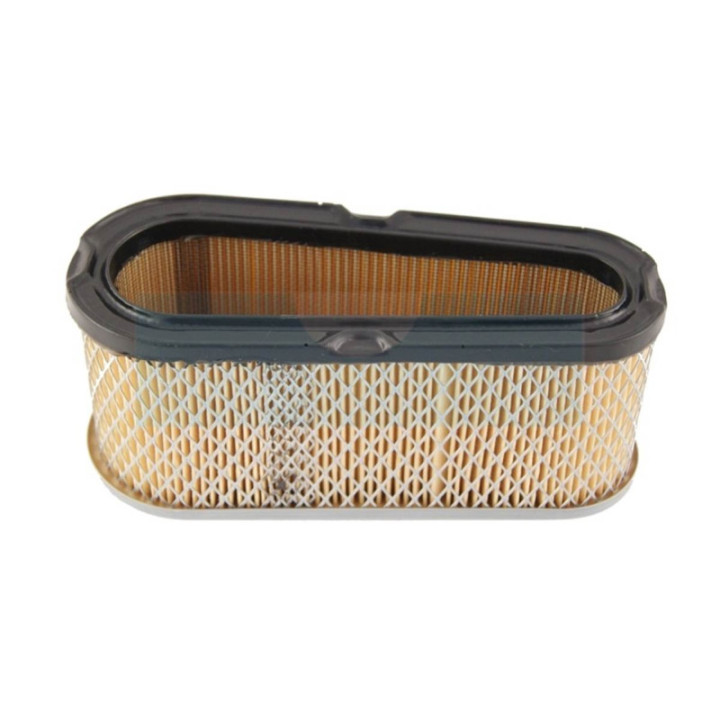 Filtre à air pour moteur Briggs & Stratton (496894)