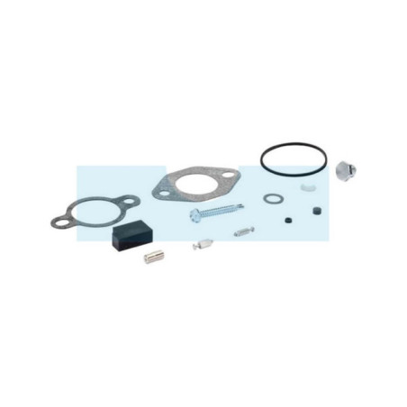Kit joint de carburateur pour moteur Kohler (2052102S)