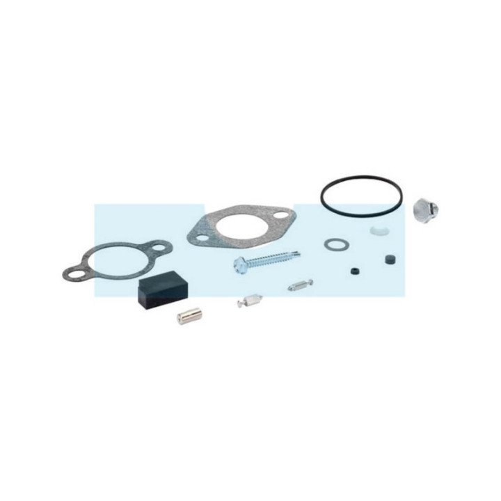 Kit joint de carburateur pour moteur Kohler (2052102S)