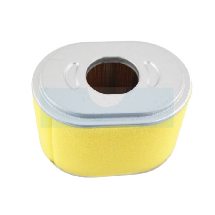 Filtre à air pour moteur Honda (17210ZE1821)