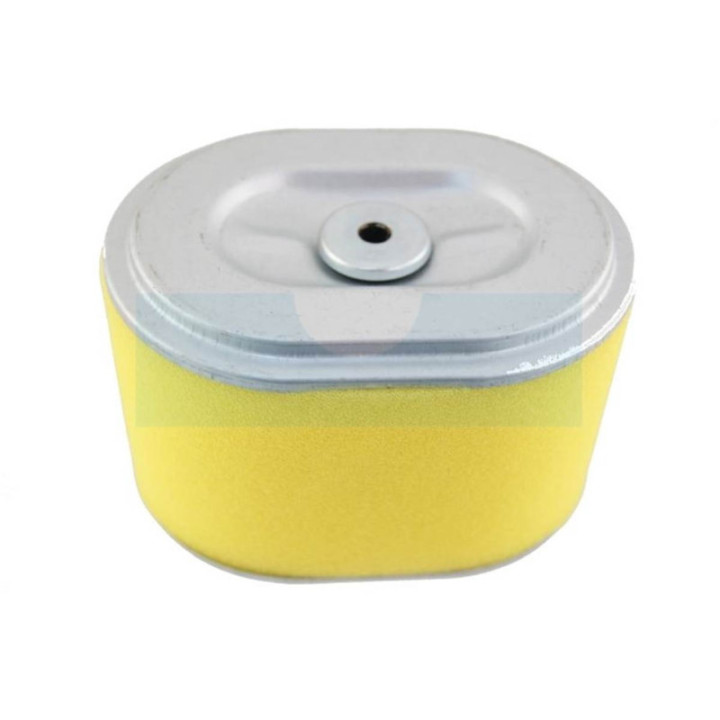 Filtre à air pour moteur Briggs & Stratton (590601)