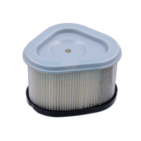 Filtre à air pour moteur Kohler (1208305S)