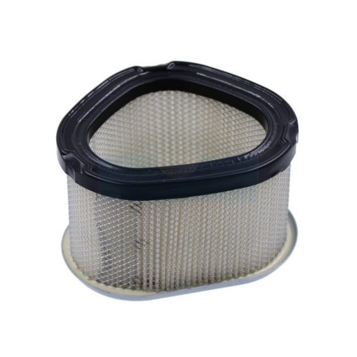 Filtre à air pour moteur Kohler (1208305S)