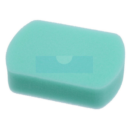 Filtre à air pour moteur Robin (2273600203)