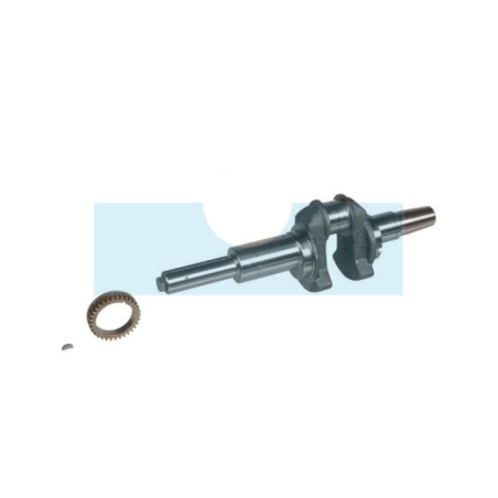 Vilebrequin pour moteur Briggs & Stratton (697390)