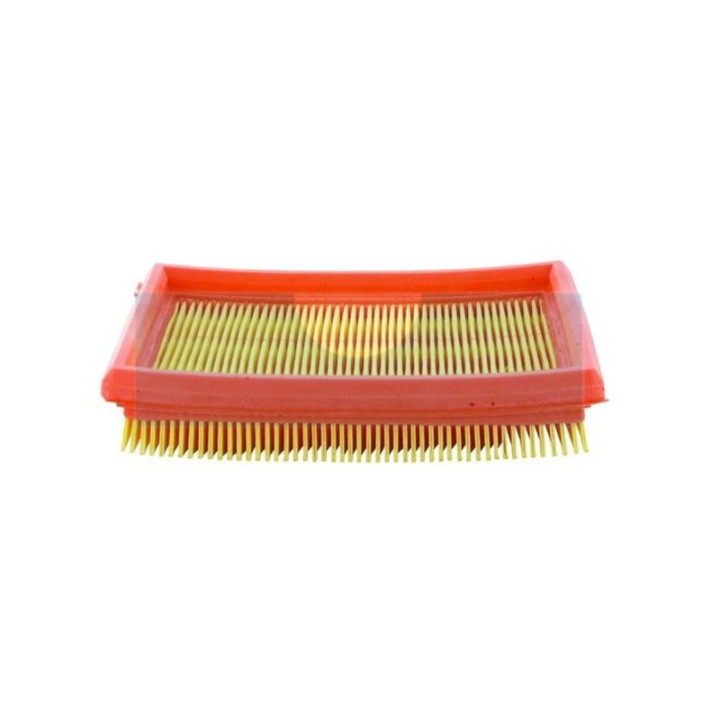 Filtre à air pour moteur Lombardini (2175172)