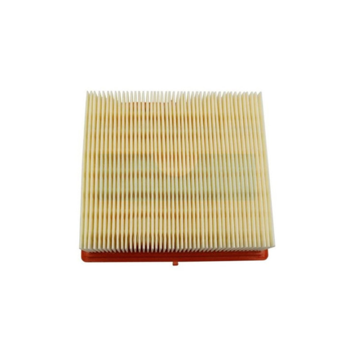Filtre à air pour moteur Lombardini (2175180)