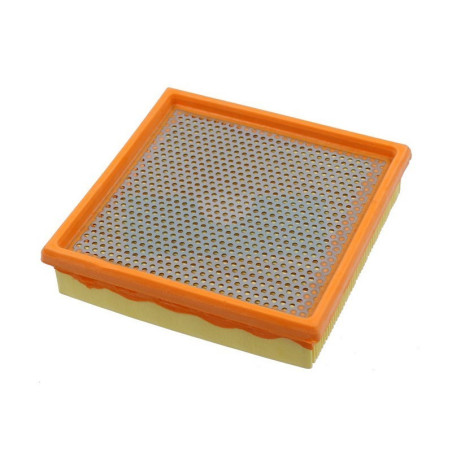 Filtre à air pour moteur Lombardini (2175134)