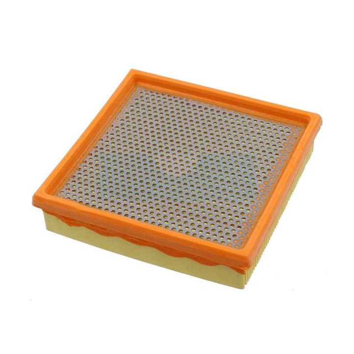 Filtre à air pour moteur Lombardini (2175134)