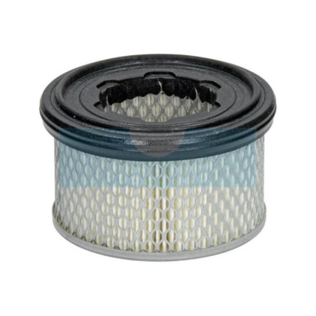 Filtre à air pour moteur Lombardini (2175306)