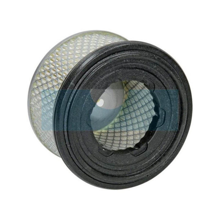 Filtre à air pour moteur Lombardini (2175306)