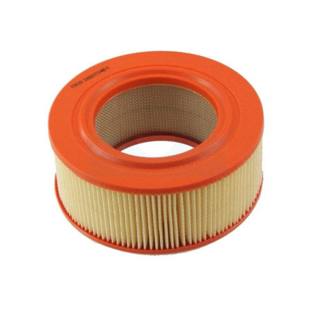 Filtre à air pour moteur Lombardini (2175048)
