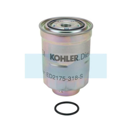 Filtre à carburant pour moteur Lombardini (2175318)