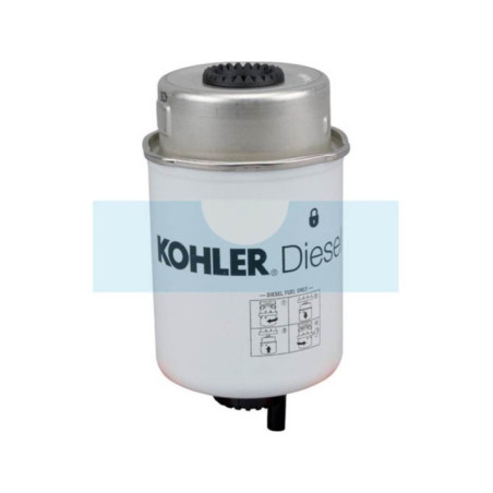 Filtre à carburant pour moteur Lombardini (2175320)