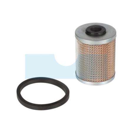 Filtre à carburant pour moteur Lombardini (2175205)