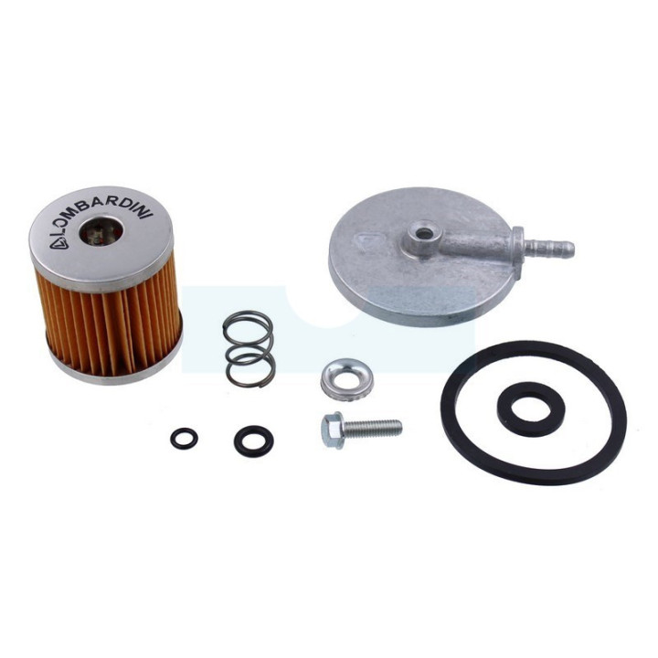 Filtre à carburant pour moteur Lombardini (3730015)