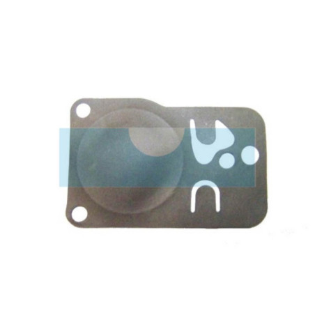 Membrane pompe pour moteur Briggs & Stratton (272638)