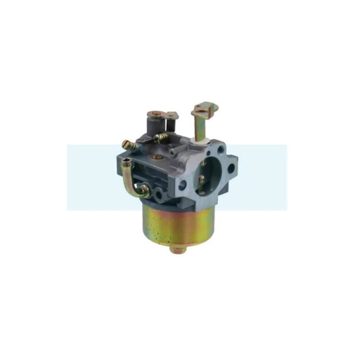 Carburateur pour moteur Robin