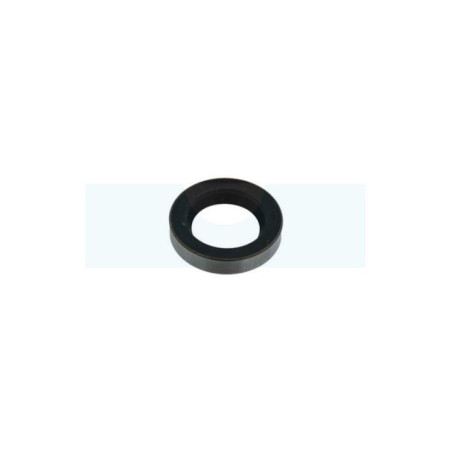 Joint spi pour moteur Briggs & Stratton (391485)