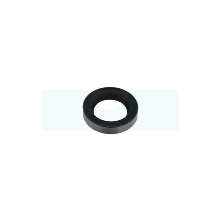 Joint spi pour moteur Briggs & Stratton (391485)