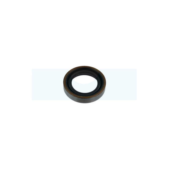 Joint spi pour moteur Briggs & Stratton (391485)